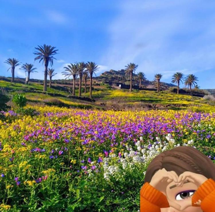 הוילה Máguez Casa Olga מראה חיצוני תמונה
